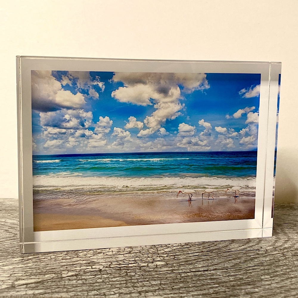 Acrylic photo block of Florida beaches with birds and ocean